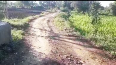 Photo of સિણધઈ ગામે લીલવણ ફળિયામાં કાચા મેટલવાળા રસ્તા બાબતે તાલુકા વિકાસ અધીકારીને ફરિયાદ: