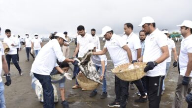 Photo of ડુમ્મસ બીચ ખાતે વન, પર્યાવરણ રાજ્યમંત્રી મુકેશભાઈ પટેલની ઉપસ્થિતિમાં સ્વચ્છતા ડ્રાઈવ યોજાઈ: