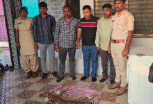 Photo of દીપડાના ચામડાની તસ્કરી કરતા તસ્કરો રંગેહાથ ઝડપાયા: 