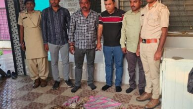 Photo of દીપડાના ચામડાની તસ્કરી કરતા તસ્કરો રંગેહાથ ઝડપાયા: 