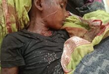 Photo of ડાંગમાં મહાલના જંગલમાં દીપડીએ ૭ વર્ષના માસૂમ બાળકનો શિકાર કર્યો :