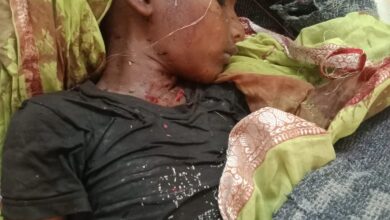 Photo of ડાંગમાં મહાલના જંગલમાં દીપડીએ ૭ વર્ષના માસૂમ બાળકનો શિકાર કર્યો :