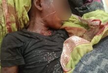 Photo of ડાંગમાં મહાલના જંગલમાં દીપડીએ ૭ વર્ષના માસૂમ બાળકનો શિકાર કર્યો :