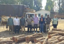 Photo of વઘઈ ફોરેસ્ટ રેન્જની સતર્કતા રંગ લાવી: ચાલક ફરાર, પણ ગેરકાયદે ખેરના લાકડાં સાથે પીકઅપ જપ્ત