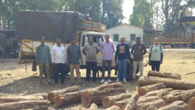 Photo of વઘઈ ફોરેસ્ટ રેન્જની સતર્કતા રંગ લાવી: ચાલક ફરાર, પણ ગેરકાયદે ખેરના લાકડાં સાથે પીકઅપ જપ્ત